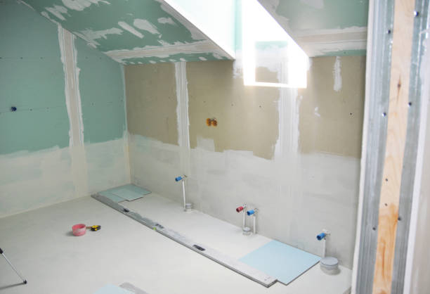 Best Mold Damage Restoration  in Cornelius, NC