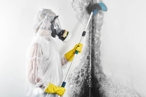 Mold Documentation for Insurance Claims in Cornelius, NC