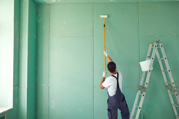 Best Mold Removal for HVAC Installations  in Cornelius, NC