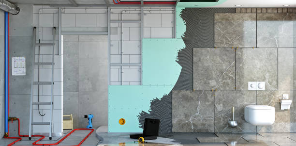 Best Black Mold Removal  in Cornelius, NC