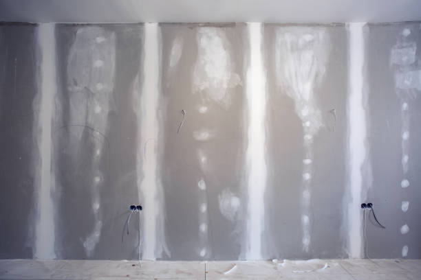 Reliable Cornelius, NC Mold Removal Solutions